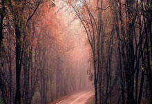 太荒吞天诀,太荒吞天诀免费阅读全文